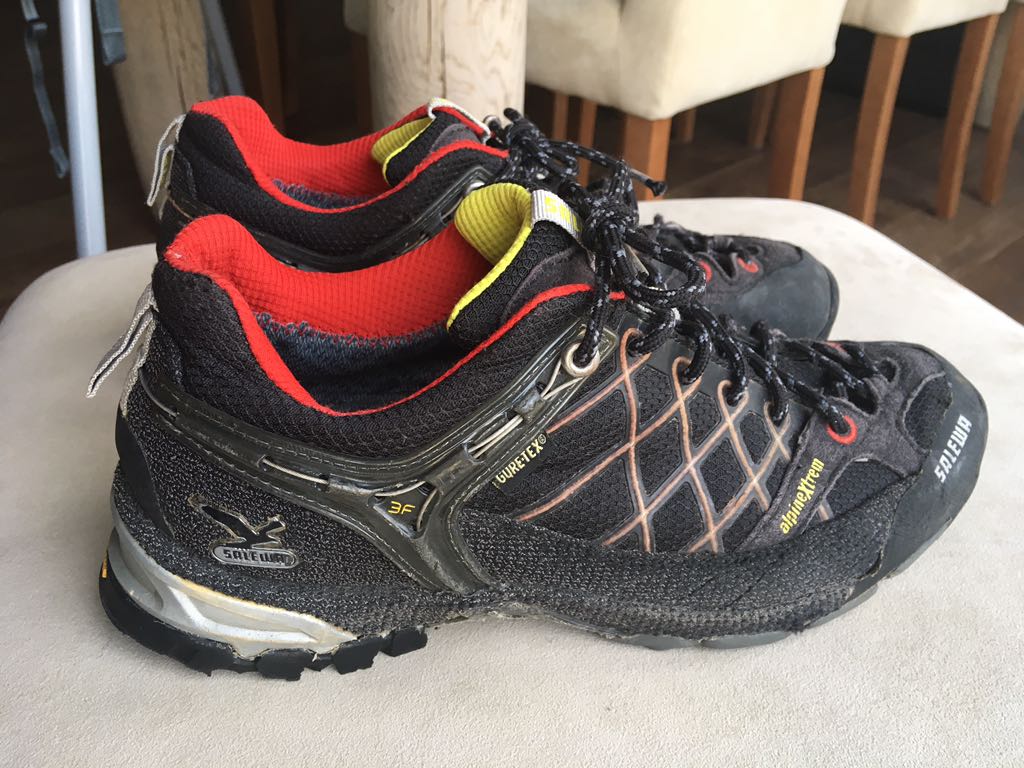 Buty Salewa Firetail GTX 41
