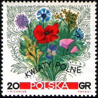 Zestaw 1967 -  znaczki  (6)