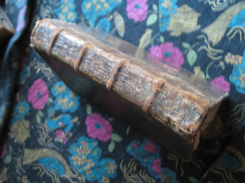 MEDYTAJE I SOLILOQUIA ŚW.AUGUSTYNA skóra 1664