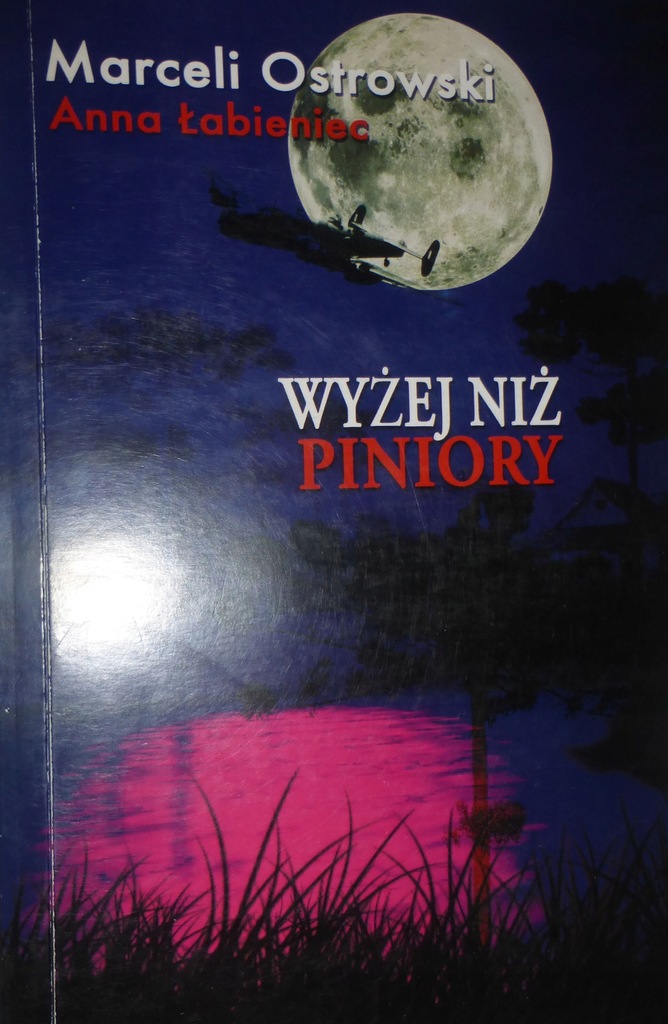 WYŻEJ NIŻ PINIORY DYWIZJON 301 Ostrowski