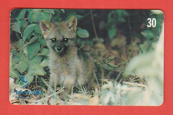 BRAZYLIA fauna nibylis siwy