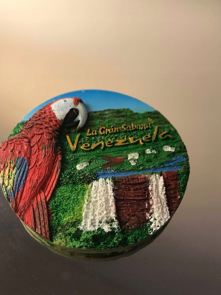 Magnes Magnes lodówkę Wenezuela Venezuela papuga