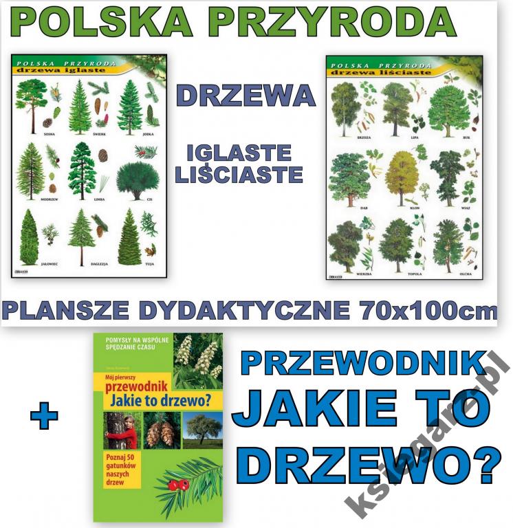 Rozpoznaj I Podpisz Drzewa Ktorych Czesci Przedstawiono Na Zdjeciach