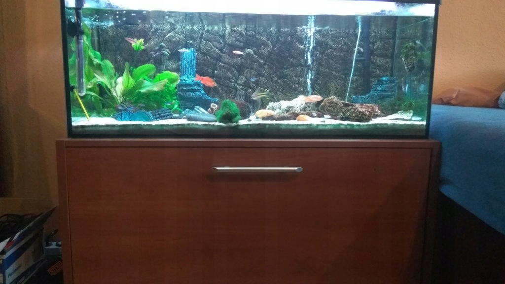 Akwarium 150l plus wyposażenie