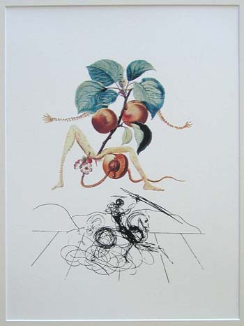 Salvador Dali FLORDALI   Rycerz i morela'347
