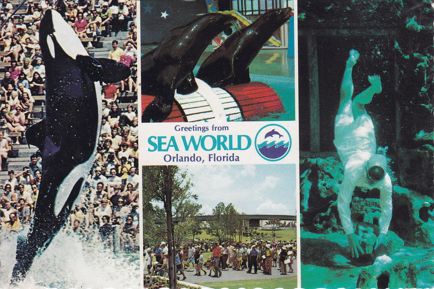 USA - ORLANDO - FLORYDA - OCEANARIUM - SEA WORLD