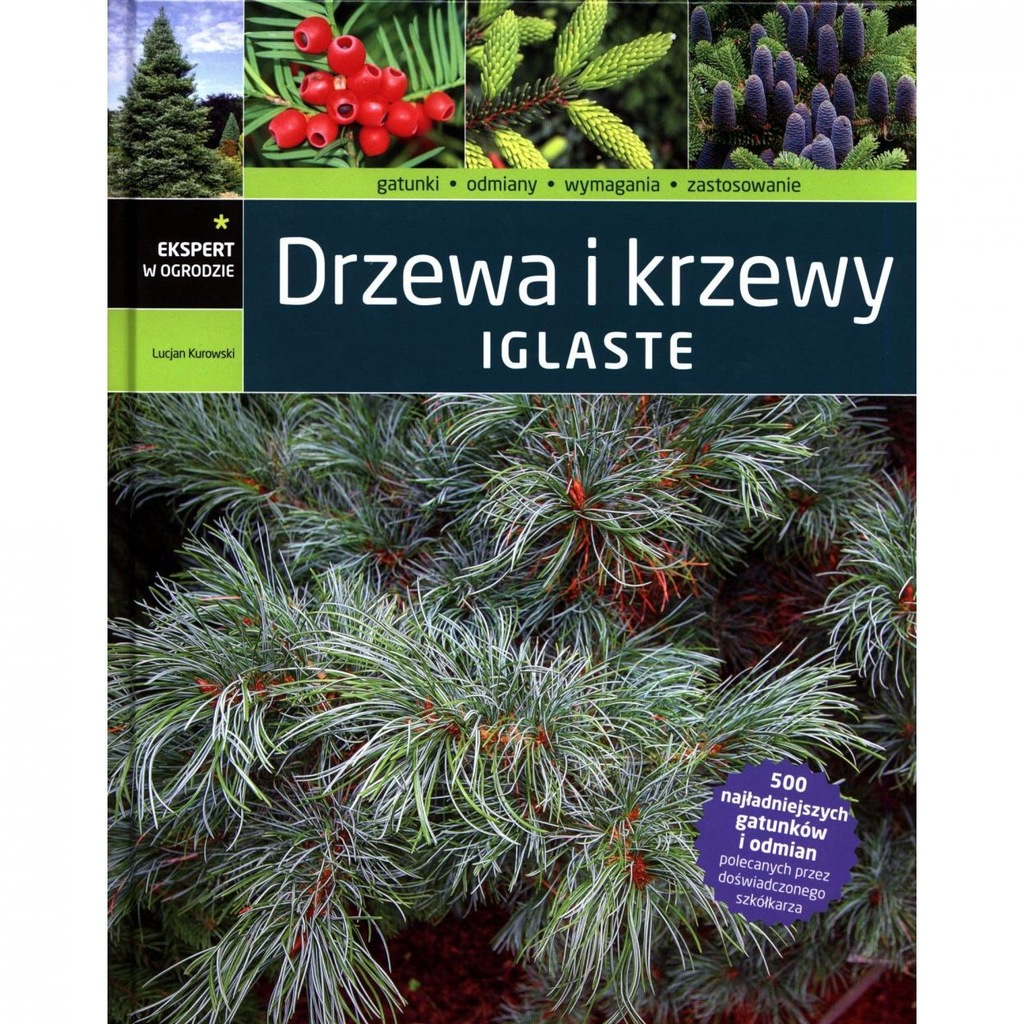 DRZEWA I KRZEWY IGLASTE, LUCJAN KUROWSKI