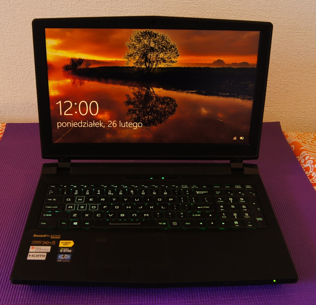 Clevo P751DM2-G, i7-6700T, 16GB, GTX 1070, GW 11m