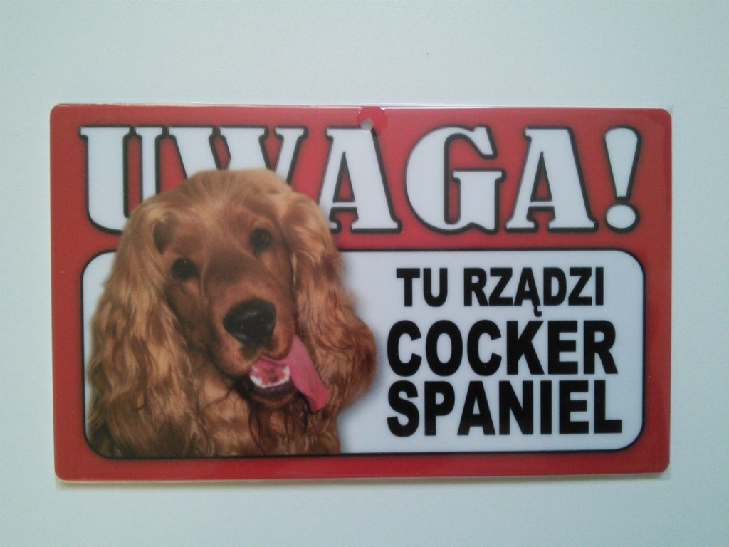 Tabliczka ostrzegawcza ..TU RZĄDZI COCKER SPANIEL