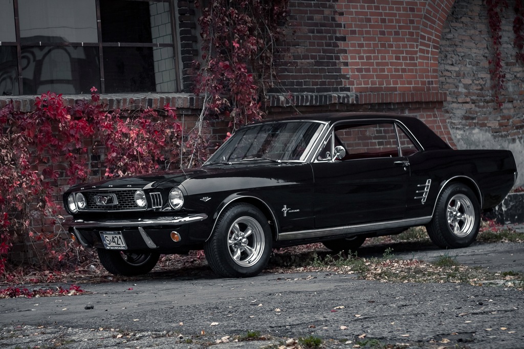 Ford Mustang 1966r - Wynajem do Ślubu/Eventy