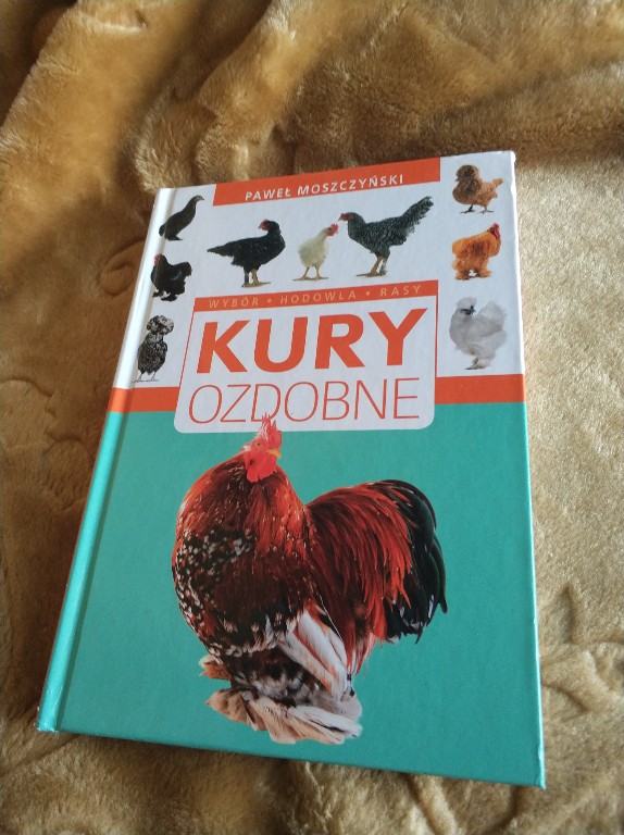 Kury Ozdobne 7161416962 Oficjalne Archiwum Allegro