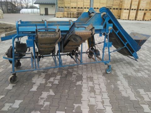 sortownik do ziemniaków, buraka czerwonego, selera