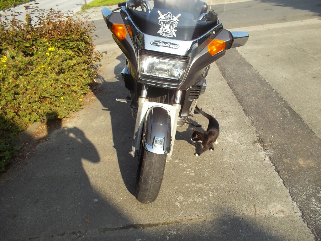 Suzuki gv1400 cavalcade