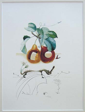 Salvador Dali FLORDALI Owoc z dziurą '349
