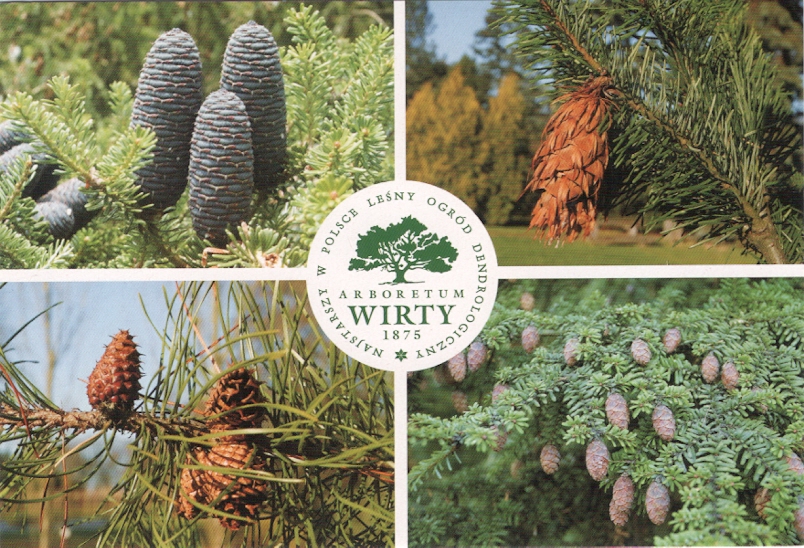 WIRTY - OGRÓD DENDROLOGICZNY - 2016R 