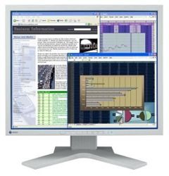 Monitor Eizo FlexScan L768 19'' 1280x1024 Kl.A XX
