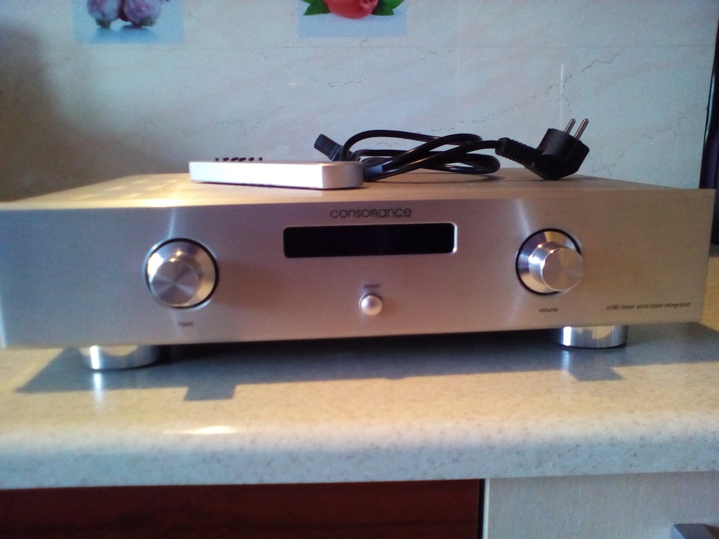 wzmacniacz OPERA CONSONANCE a100- linear