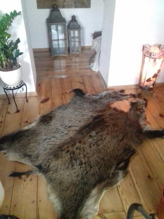 skóra dzika 100% dywan dywanik duża