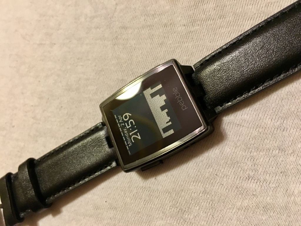 pebble 401b