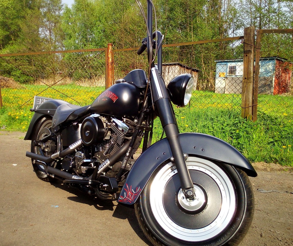evo heritage softail