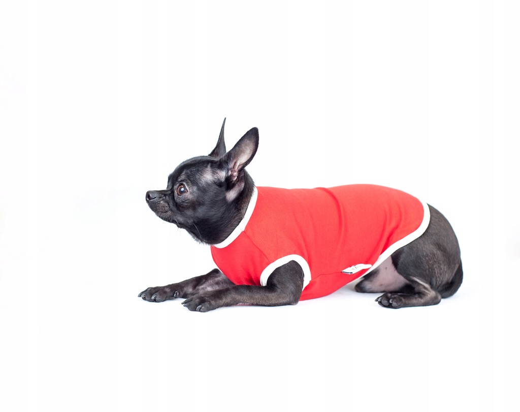 Taily| T-shirt dla psa czerwono-mleczny XL - 3XL