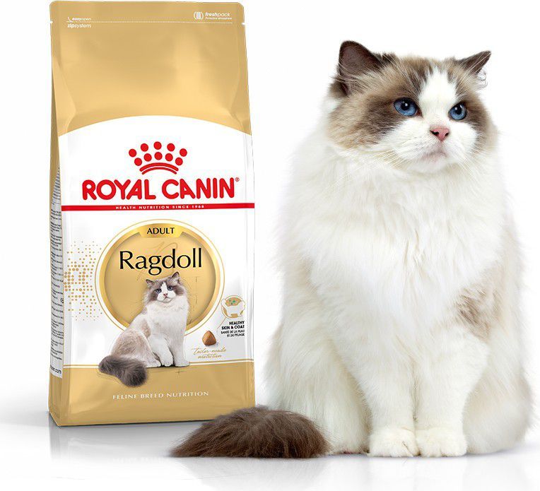 royal canin ragdoll