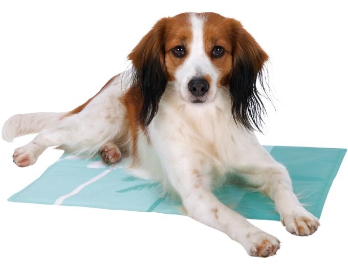 TRIXIE MATA CHŁODZĄCA dla psa kota_90x50cm_mięta - 7067791405