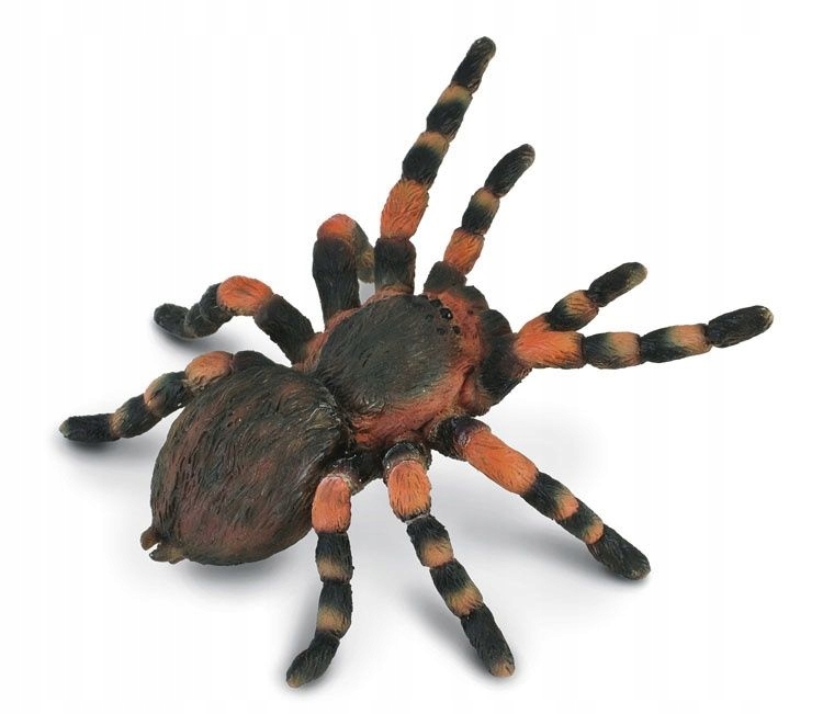 CollectA 88338 - Ptasznik czerwonokolanowy pająk