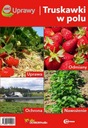 Клубника в поле. Выращивание клубники ABC Crops