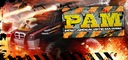 PAM POST APOCALYPTIC MAYHEM STEAM КЛЮЧ КОДА