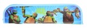 Zółwie Ninja Turtles etui na flet 824