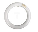 Круглая люминесцентная лампа Philips G10q 22 Вт/840 FV