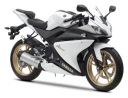 YAMAHA YZF R 125 2008-2013 СТЕЛАЖ СПОЙЛЕРА КРІПЛЕННЯ ПОЛИЦЯ 125 R  (17457963149) фото min 4