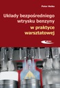 СТРУКТУРА СИСТЕМЫ ПРЯМОГО ВПРЫСКА БЕНЗИНА