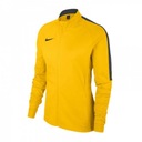 Толстовка для тренинга Nike Womens Academy 18 719 L 173 см