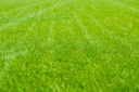 Florovit pre trávniky vrece 10kg 3v1 mikroflórové prémiové hnojivo - outlet ušk Forma pelety