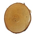 Срезы древесины, березовые деревянные диски, 17-20 см.