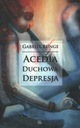 Acedia - духовная депрессия Габриэль Бунге OSB Тынец