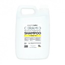 Profis Ceramid - Regeneračný šampón na vlasy s ceramidmi 5 litrov EAN (GTIN) 5906801000414