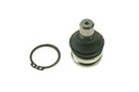 DENCKERMANN D110124 COUDE SUPPORTS / PROWADZACY photo 1 - milautoparts-fr.ukrlive.com