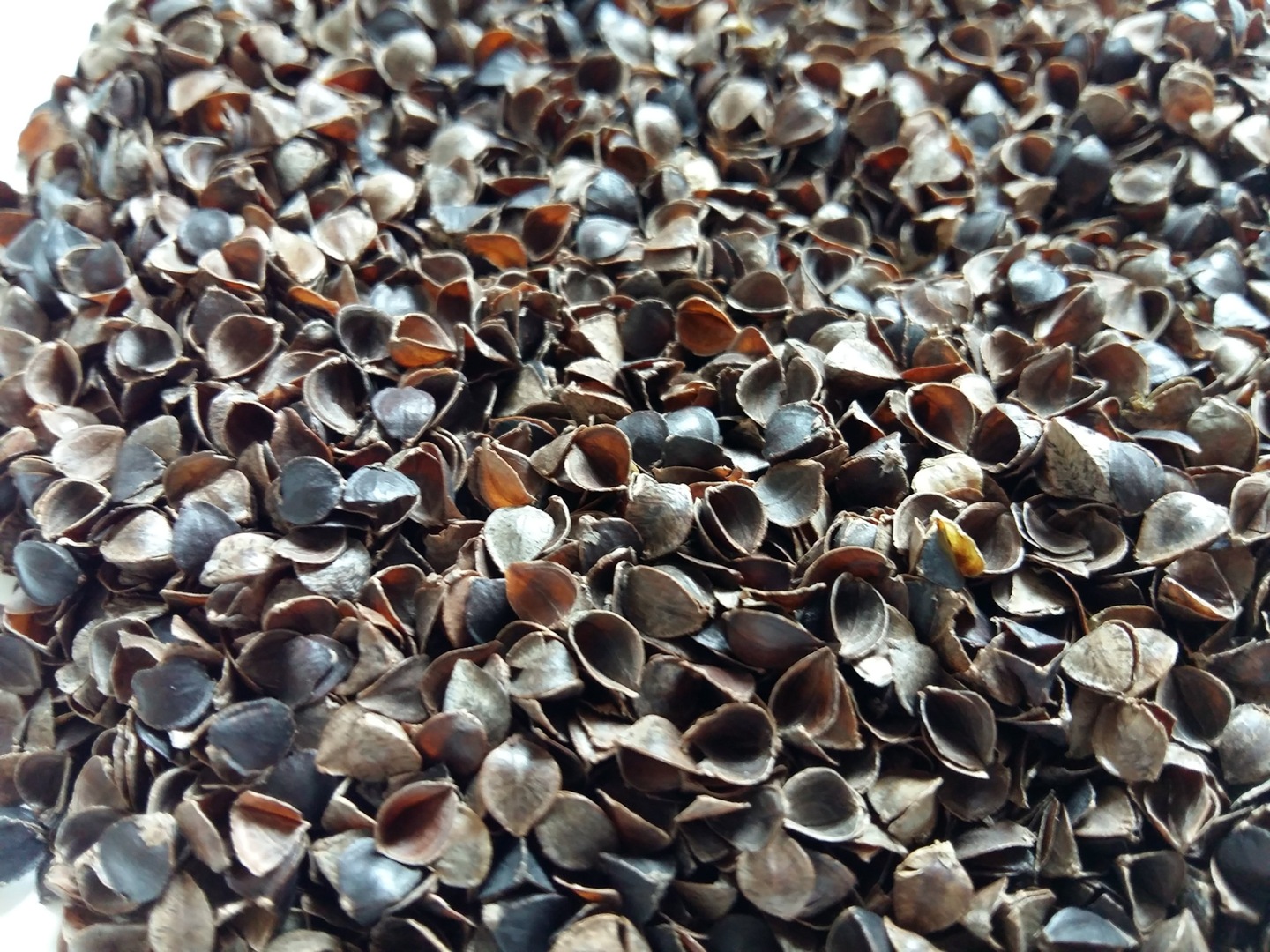 нова сырье. переработка макулатуры. завод пларус солнечногорск. прессованный пластик вторсырье. открытие мэз.