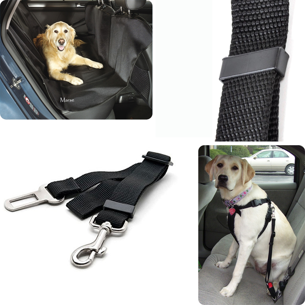 PASY BEZPIECZEŃSTWA SMYCZ DO SAMOCHODU DLA PSA 6390060162 - Allegro.pl