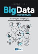 Big Data w przemyśle PWN