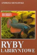 RYBY LABIRYNTOWE / SIENIAWSKI / NOWA HOBBY W-wa