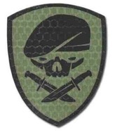 KAMPFHUND Naszywka Medal Of Honor Skull OD