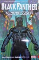 Black panther A nation under our feet book 1