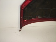 COFANO TOYOTA RAV4 00-06