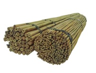 BAMBUSOVÁ TYČ 45 cm 6/8 mm /100 ks/, bambus
