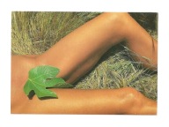 Pocztówka - Piękna albo Półakt z listkiem figowym