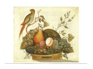 Pocztówka - M.A. Randall, Kosz owoców i papuga ...
